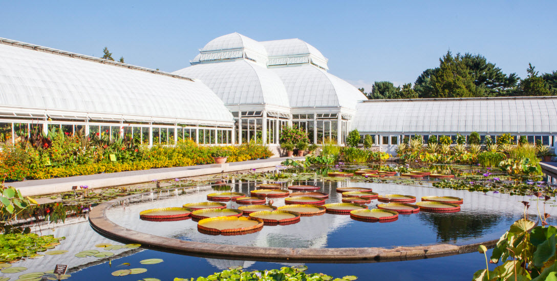 New York Botanical Garden, United States